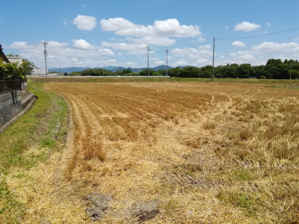 ②今回（6月13日）の圃場