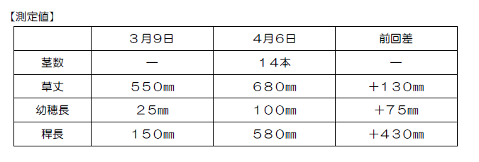 （測定値）